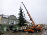Vánoční strom 2017