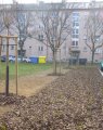 TS Hlučín zahájila podzimní výsadbu stromů