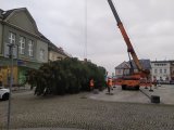 Vánoční strom 2019