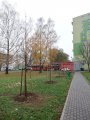 Výsadba stromů na území města
