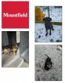 Poděkování společnosti Mountfield a.s. za poskytnutí daru