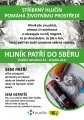 STŘÍBRNÝ HLUČÍN POMÁHÁ ŽIVOTNÍMU PROSTŘEDÍ